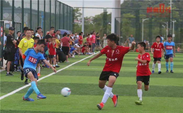  青少年足球锦标赛落幕，潜力新苗脱颖而出  